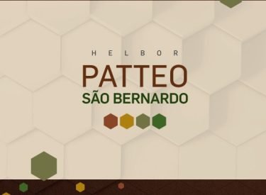 HELBOR PATTEO SAO BERNARDO ABC PAULISTA